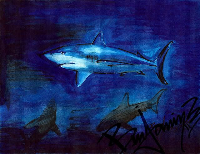 sharkstudy.jpg picture by natural-skelector