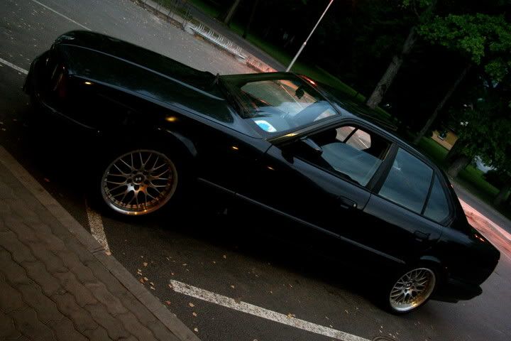 Pilt