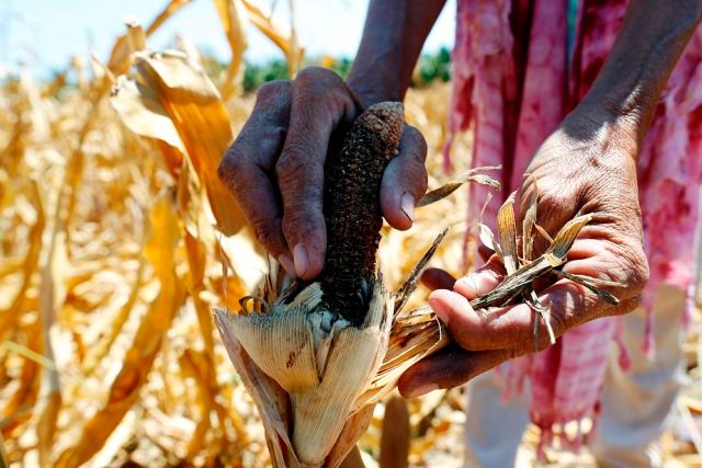 Children in El Niño Affected Mindanao