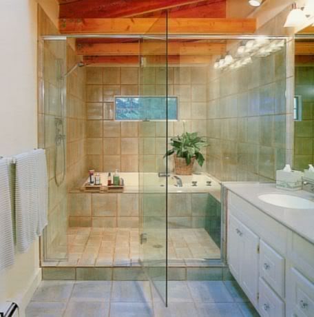 shower/tub wetroom