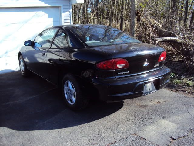 http://i783.photobucket.com/albums/yy114/seitzb517/DSC01332.jpg