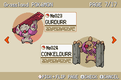 GBA_Rom_-_Pokemon_Fire_Red13.png