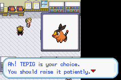 GBA_Rom_-_Pokemon_Fire_Red3.png