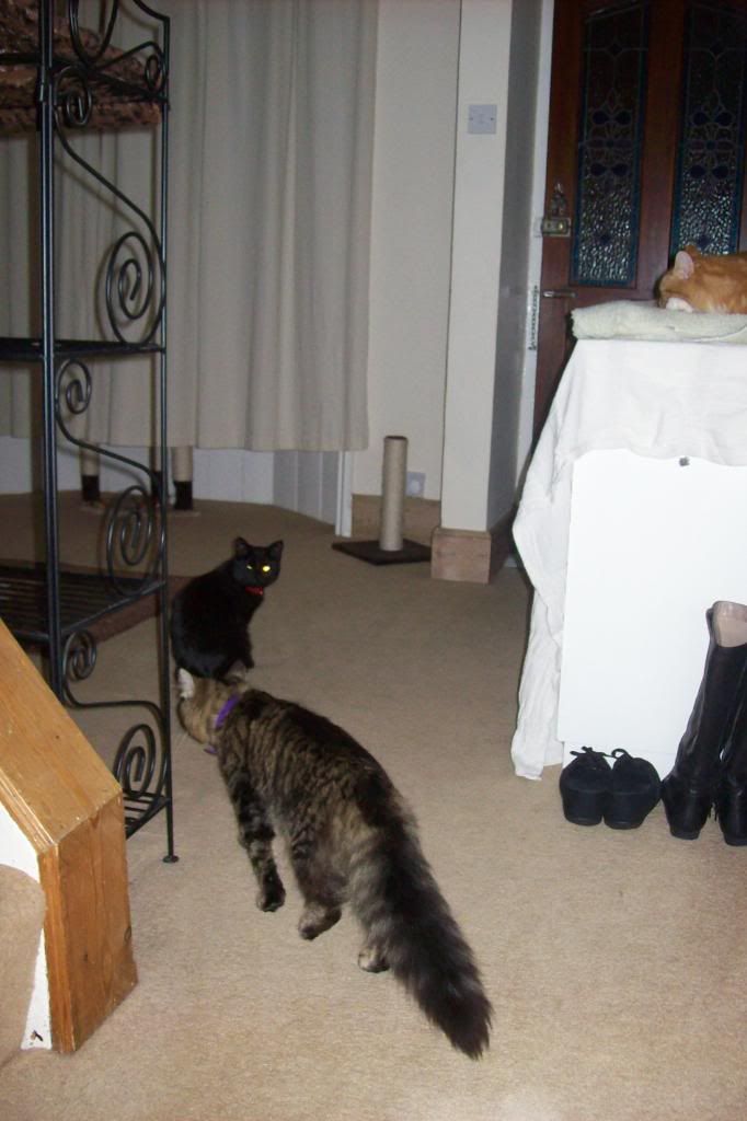 100_2629.jpg