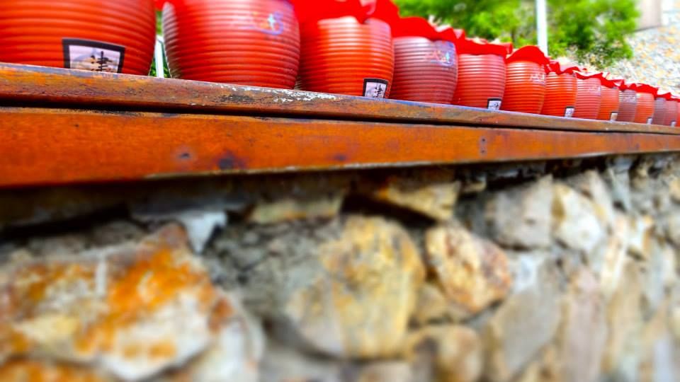 photo 1231618_10151932482366202_1549562535_n.jpg