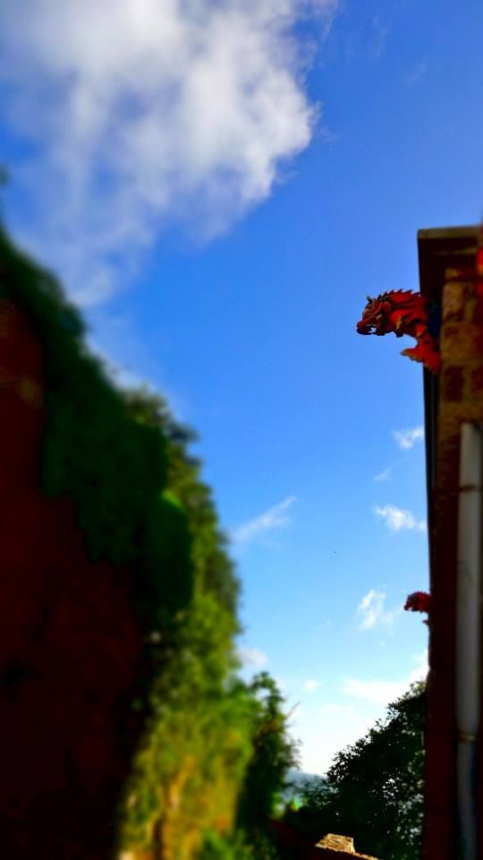 photo 577365_10151932487971202_1408301949_n.jpg