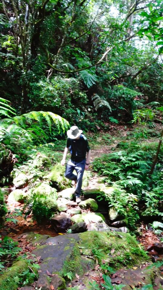 photo 1011892_10151712784841202_279551049_n.jpg