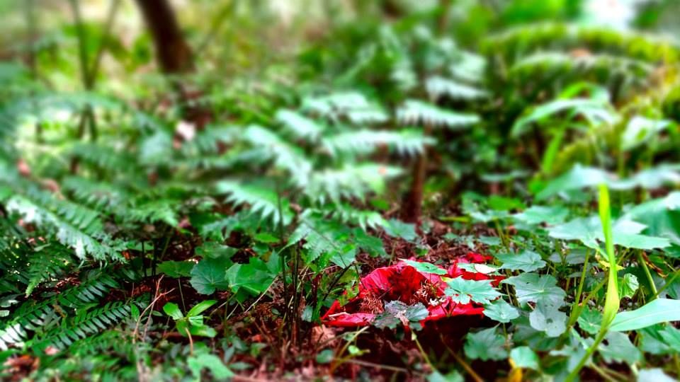 photo 1017066_10151712789216202_1503548147_n.jpg