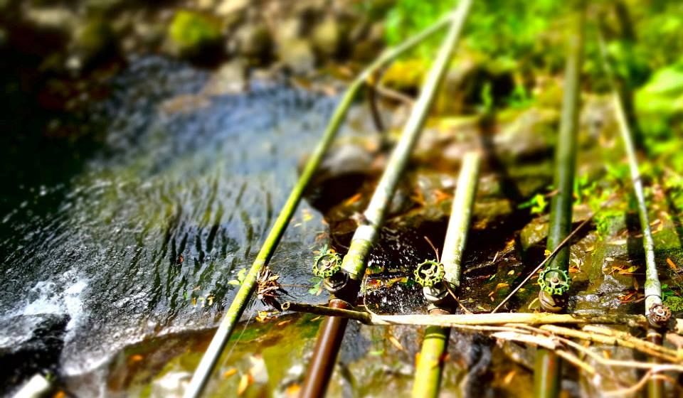 photo 969454_10151712788206202_1691914817_n.jpg