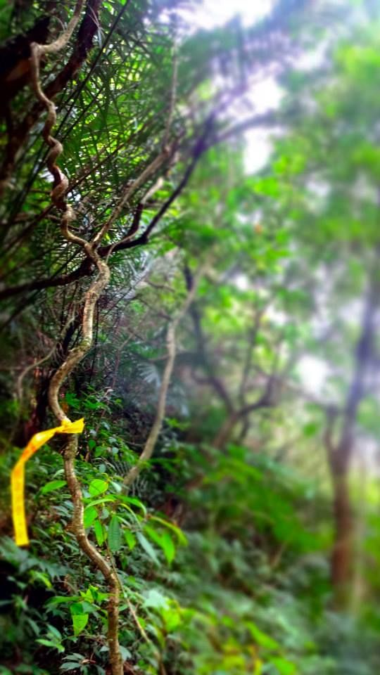 photo 970219_10151712790611202_1546512608_n.jpg