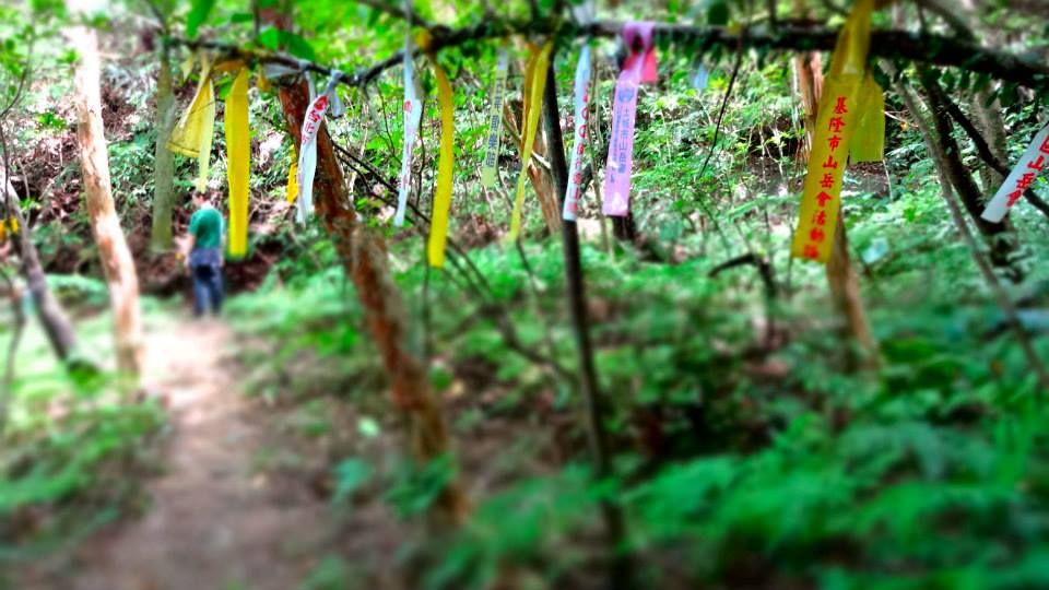 photo 970855_10151712786671202_1686276632_n.jpg
