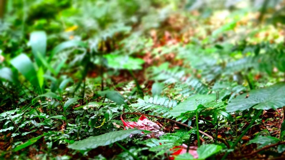 photo 983573_10151712788456202_683034279_n.jpg