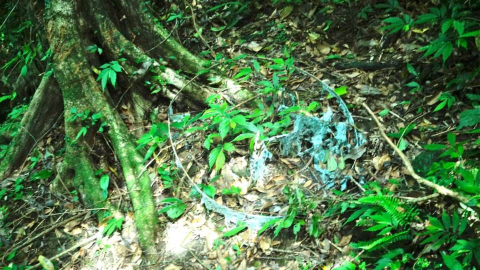photo 998614_10151712787311202_806044355_n.jpg