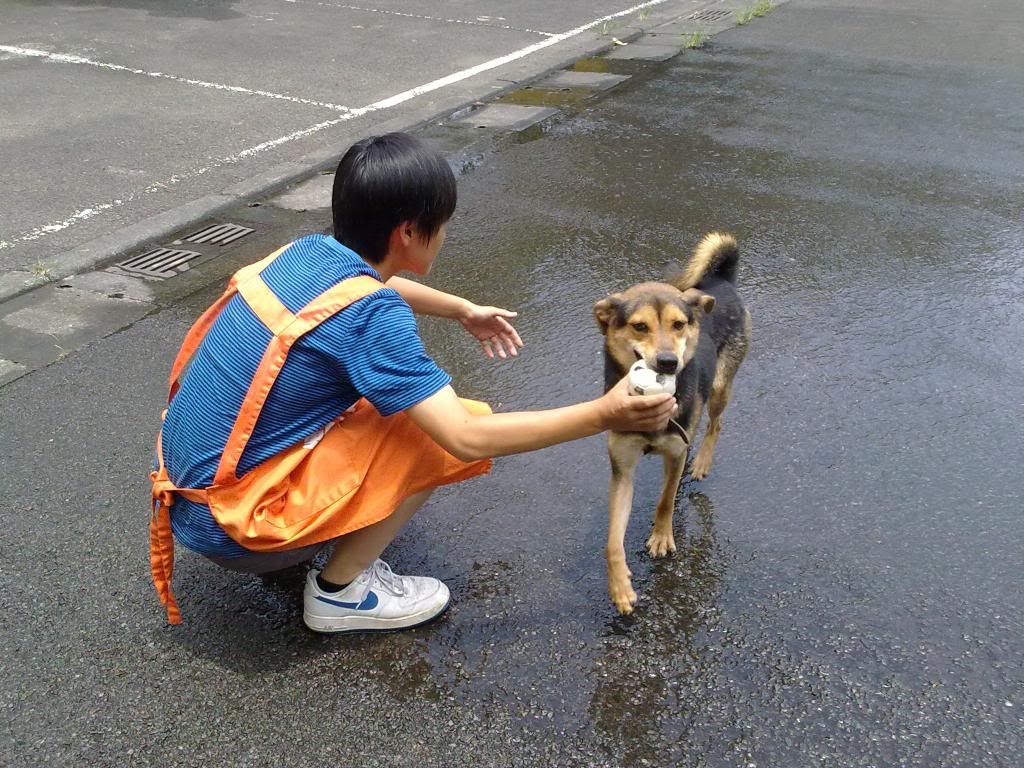 圖檔