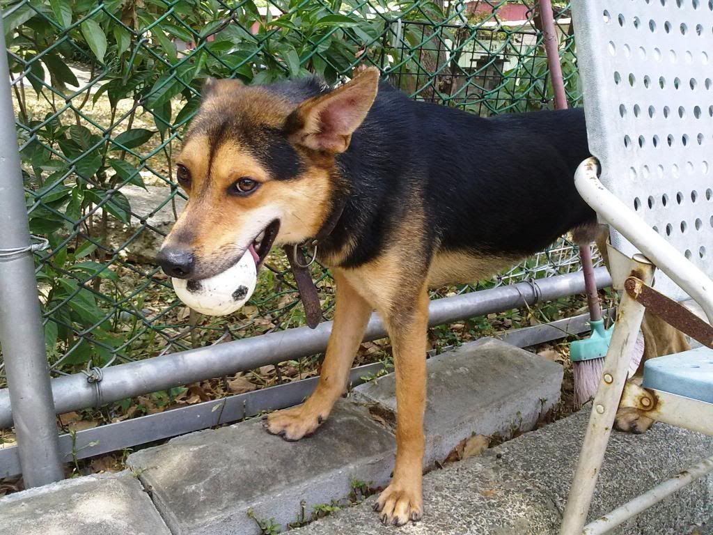 圖檔