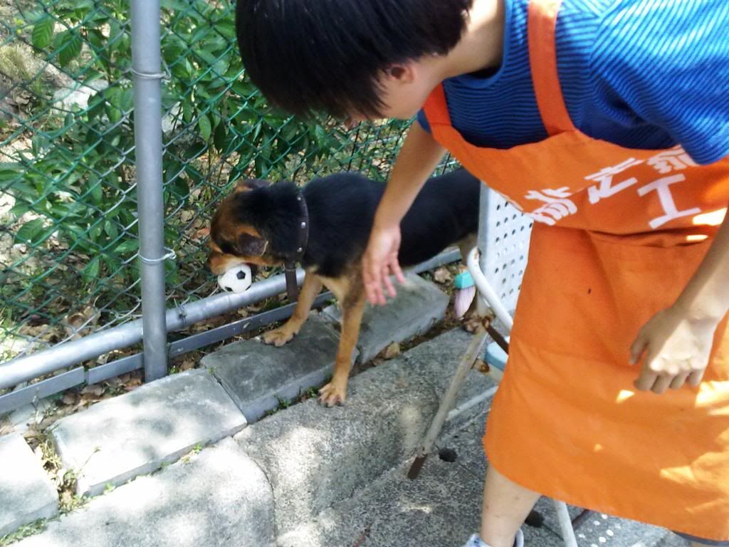 圖檔