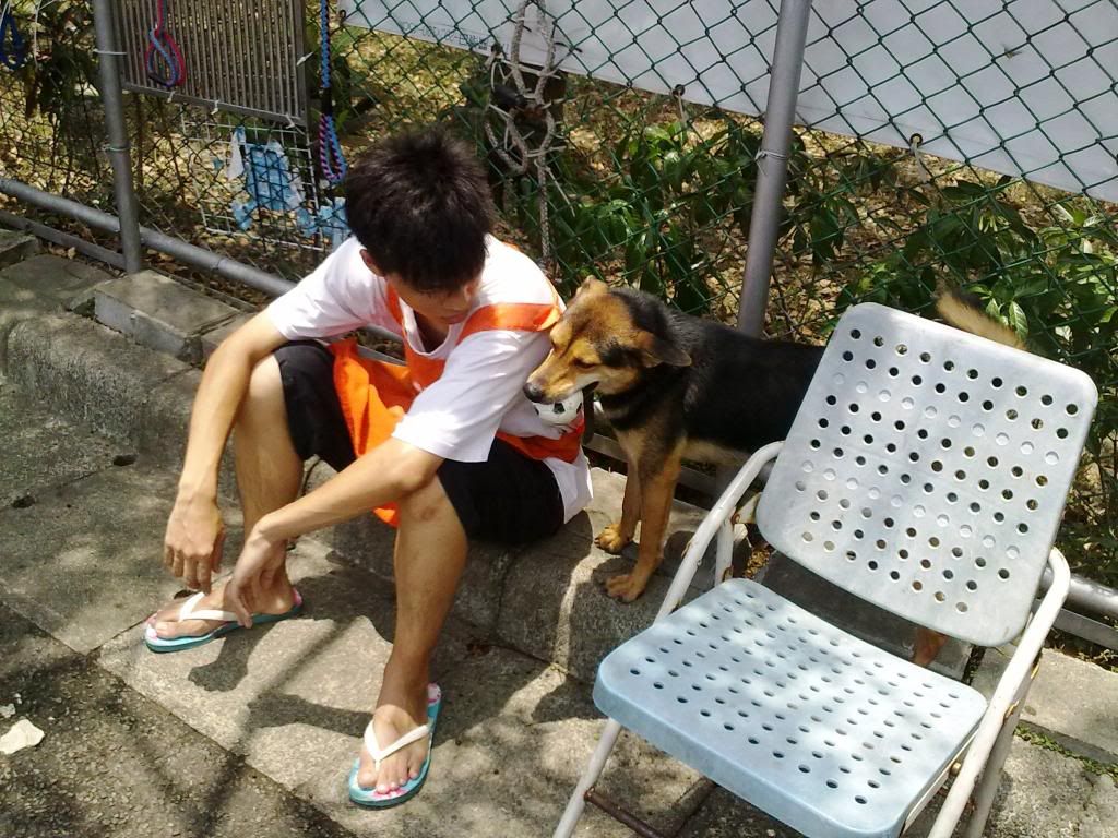 圖檔