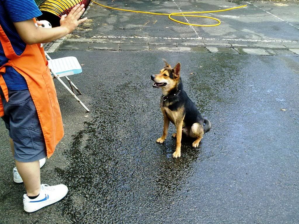 圖檔