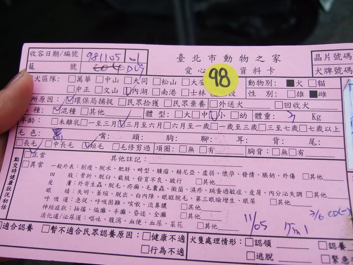 圖檔