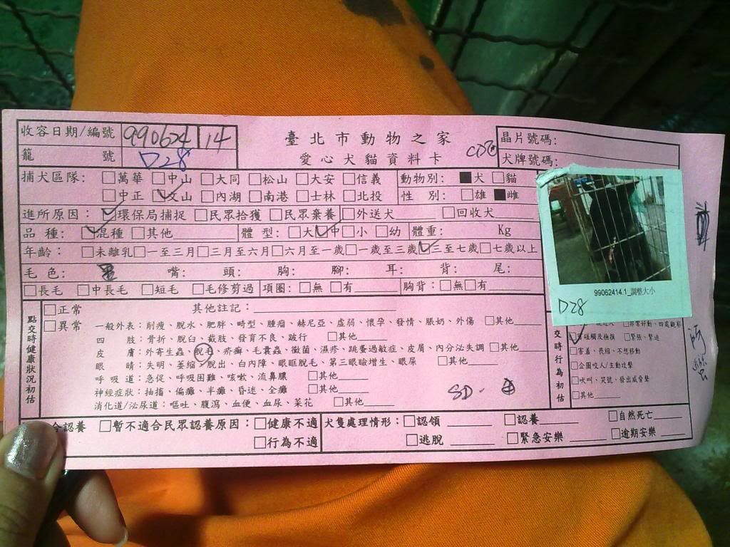 圖檔
