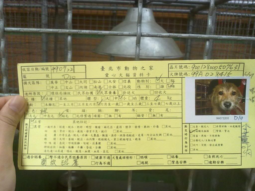 圖檔