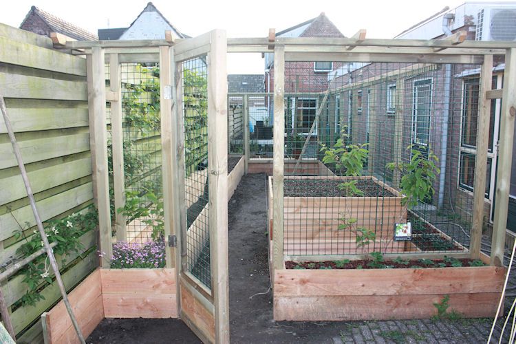 Image39_zps865ccde0.jpg