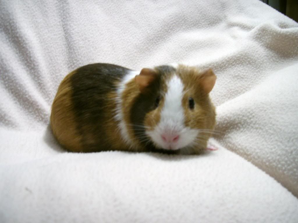 PIC_0012.jpg