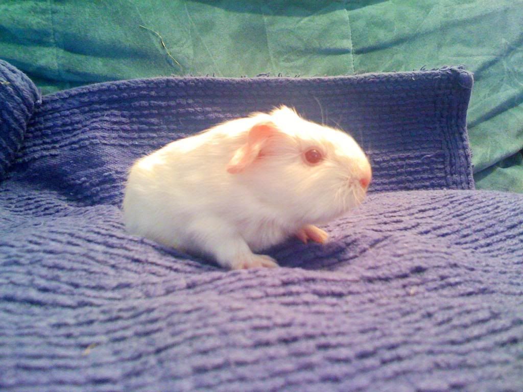 baby5.jpg