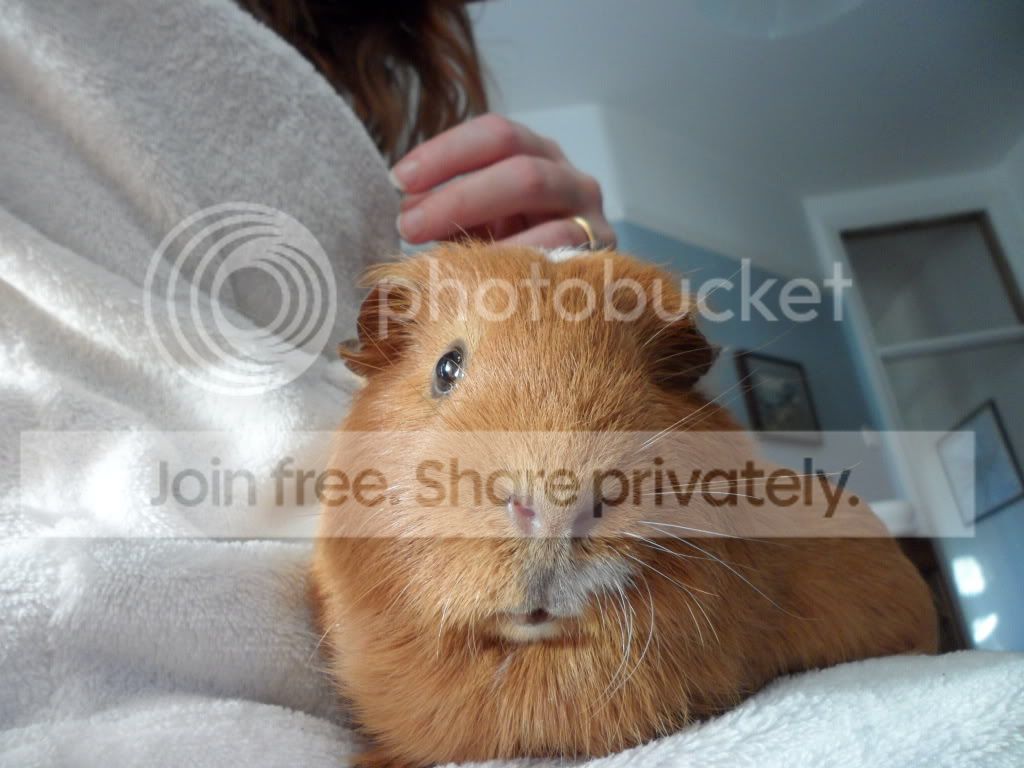 SAM_0563.jpg