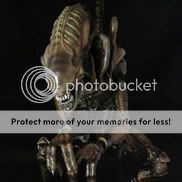 http://i783.photobucket.com/albums/yy118/Moguchiy_H/Hot%20Toys/Alien_Warrior_Aliens.jpg