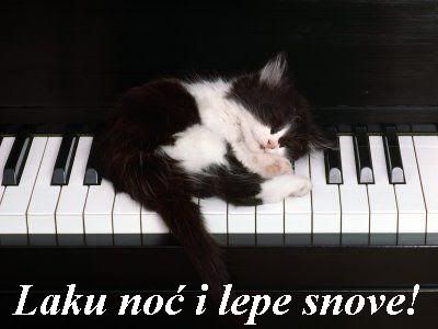 LEPESNOVE.jpg