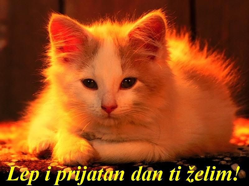 LEPIPRIJATAN.jpg