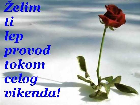 LEPVIKEND-1.jpg